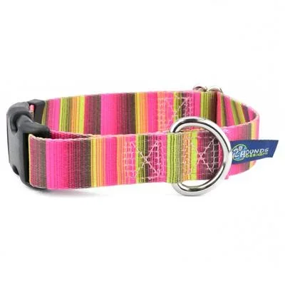 2 Hounds Design EarthStyle Bonnie Dog Collar