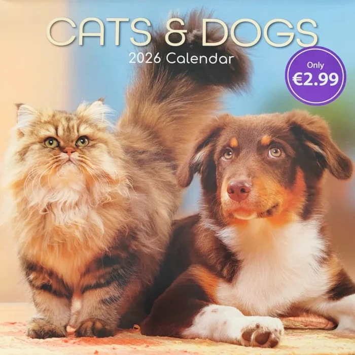 2026 Cats and Dogs Calendar