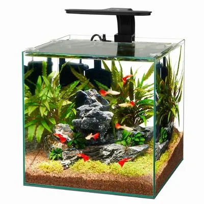 Aqueon Frameless Cube Aquarium – 6 gal