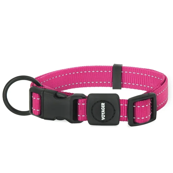Best Pet Supplies Reflective Dog Collar With Adjustable Length, Heavy-Duty Buckle, And Strong Leash D-Ring, Training, Walking, Jogging Accessory For Small, Medium, And Large Breeds – Fuchsia, S
