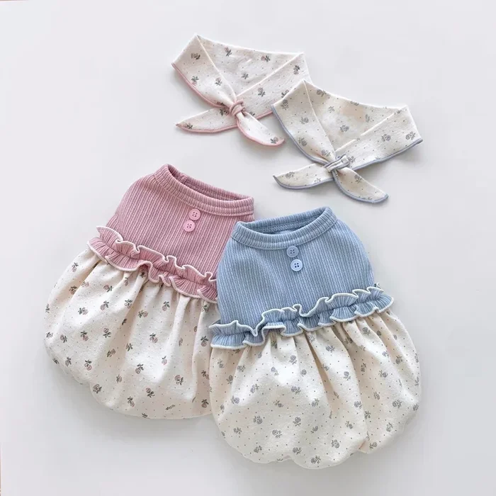 CREAMY PUMPKIN TOP
