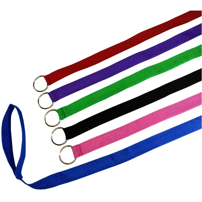 Downtown Pet Supply – 6Ft Dog Kennel Slip Lead Dog Leash – Veterinarian, Dog Grooming, Daycare & Animal Rescue Dog Supplies – One Size Leads For Dogs Bulk – 1′ Thick – 12 Pack