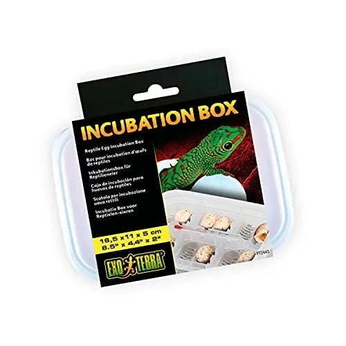 Exo Terra Reptile and Amphibian Egg Incubation Box