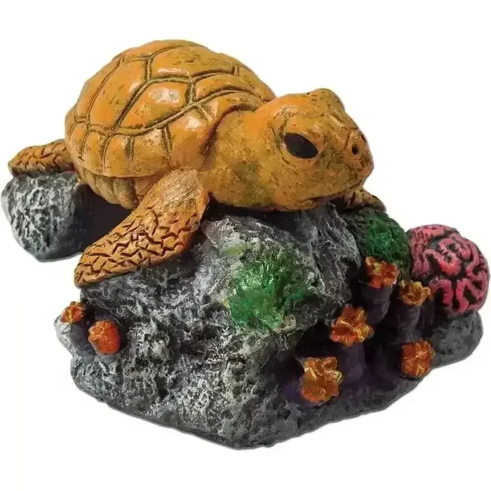 Exotic Environments Sea Turtle