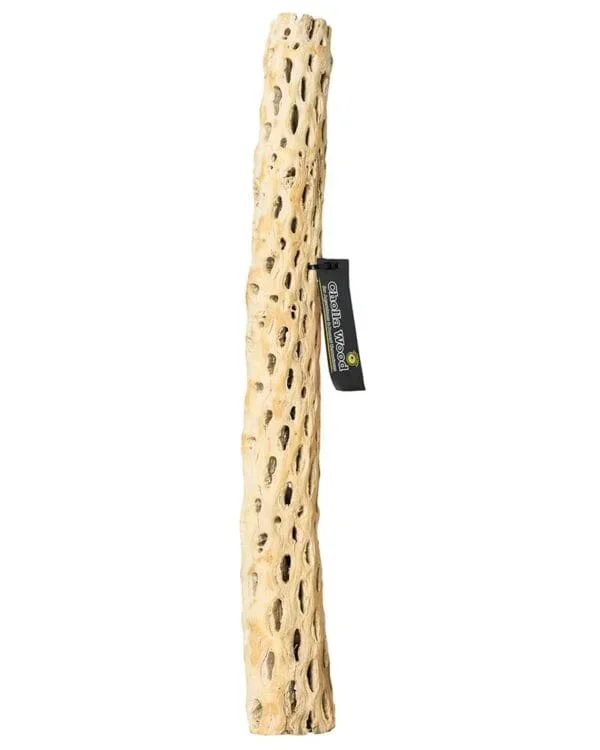 Galapagos Cactus Skeleton Cholla Wood Branch – Brown – 36 in