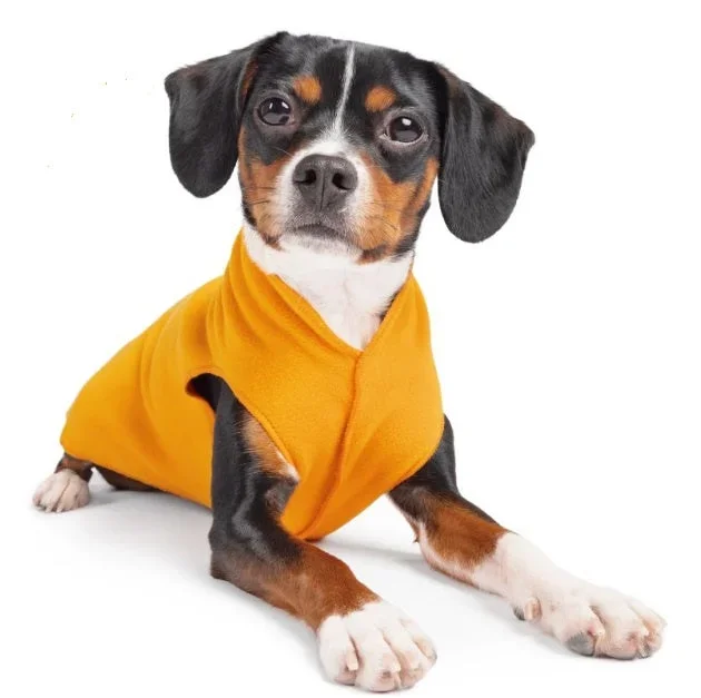 Gold Paw Stretch Fleece – Cheddar