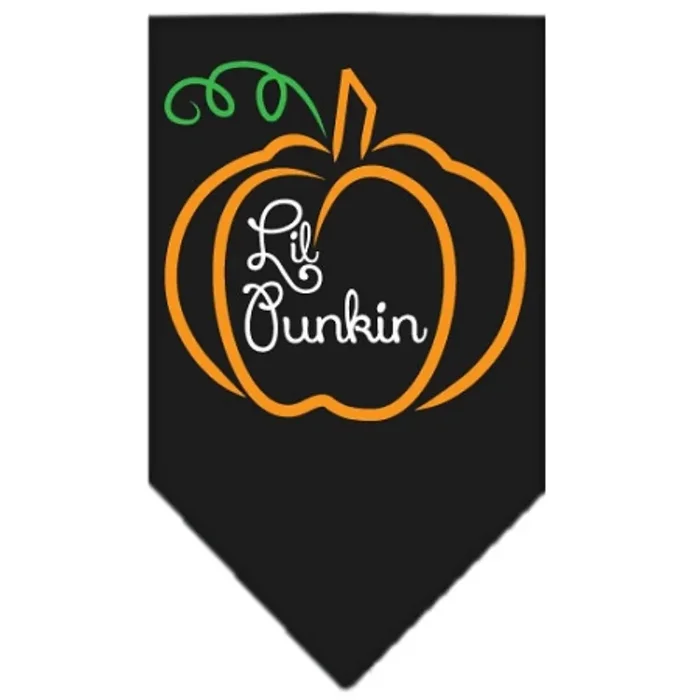Halloween Pet and Dog Bandana Screen Printed, Lil Punkin Black Small