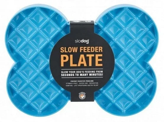 Innovative Pet SloDog Slow Feeding Dog Bowl – Turqoise