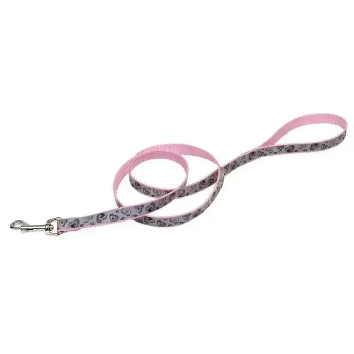 Lazer Brite Reflective Dog Leash