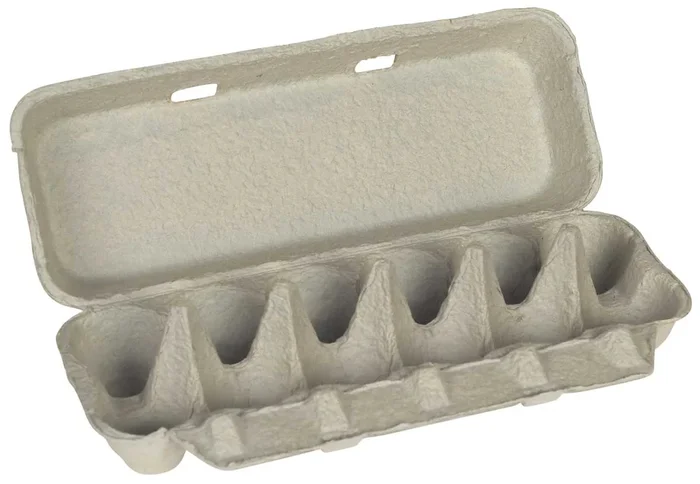 Little Giant One Dozen Cardboard Egg Carton