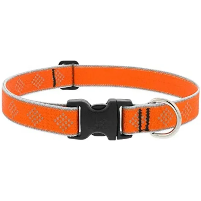 Lupin 1 “Naranja Diamante de 12” -20 “Collar ajustable