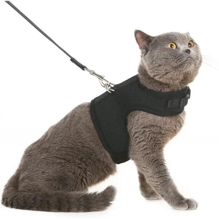 Pupteck Soft Mesh Cat Vest Harness And Leash Set Puppy Padded Pet Harnesses Escape Proof For Cats Small Dogs, Pink Medium