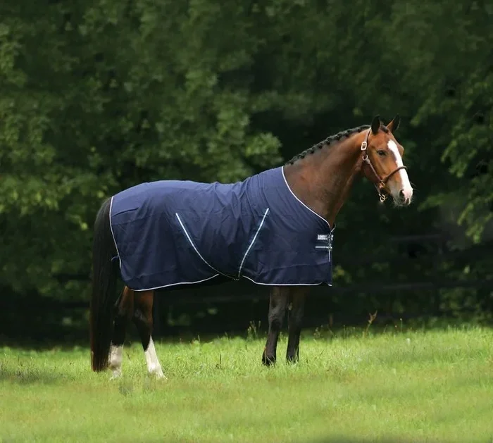Rambo Stable Sheet