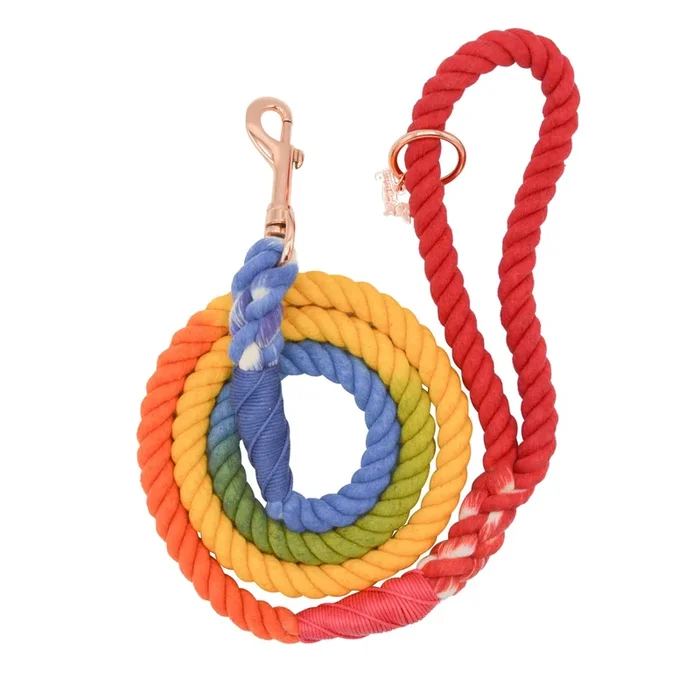 Rope Leash – Rainbow