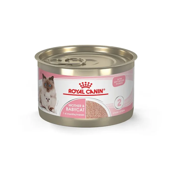 Royal Canin Feline Health Nutrition Mother and Kitten Mousse in Sauce Formula Canned Cat Food – 5.1 Oz – Case of 24