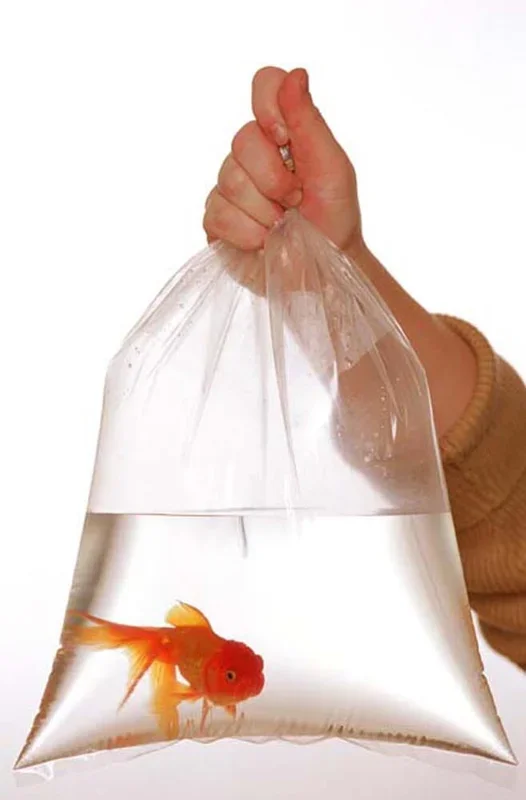 Rutan Poly Industries Fish Bags Clear – 2 mm, 12 in X 24 in – 500 Bag