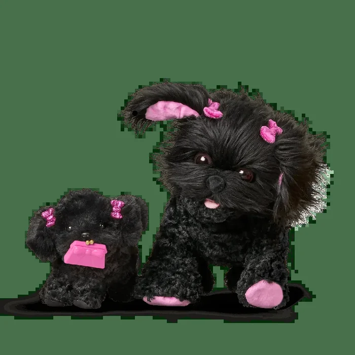 Shi-Poo Sweetie Dog Bundle