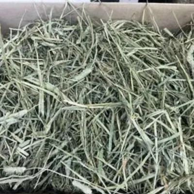 Supreme Timothy Hay – Compressed