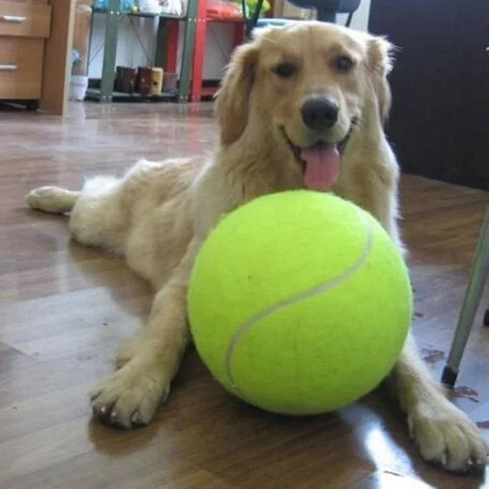 The Jumbo Tennis Ball: Durable 9.5-inch Dog Toy