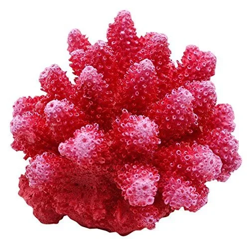 Underwater Treasures Cauliflower Coral – Red