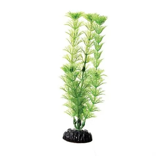 Underwater Treasures Green Cabomba – 8″