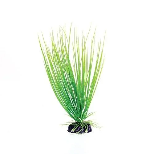 Underwater Treasures Green Hairgrass – 8″