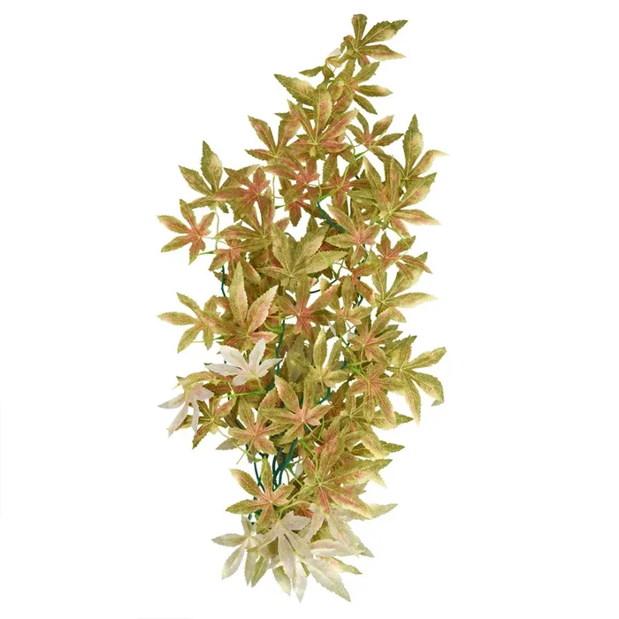 Underwater Treasures Japanese Maple – Red – 24″