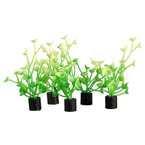 Underwater Treasures Mini Plant – Baby Tear – 2.5″ – 5 pk