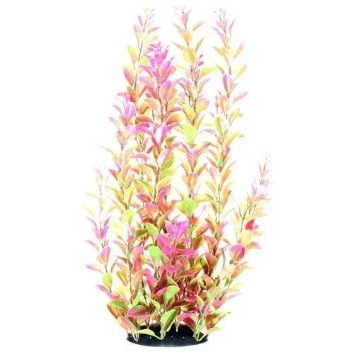 Underwater Treasures Pink Ludwigia – 14″