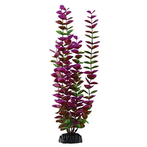 Underwater Treasures Plum Bacopa – 14.5″