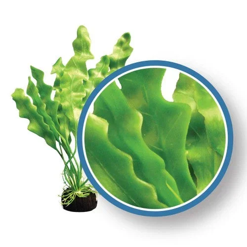 Weco, Weco Products Freshwater Pro Series Amazon Ruffled Sword Aquarium Plant, Green, 1 Each/18 in