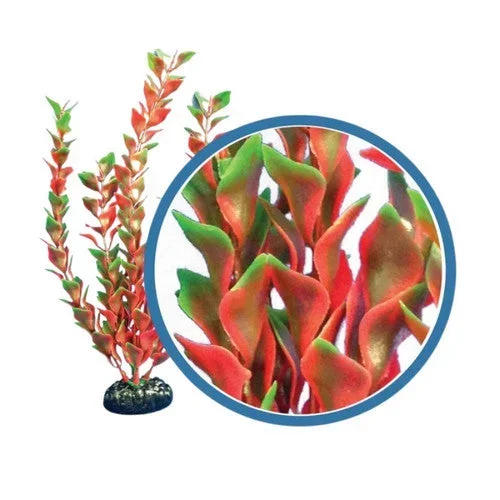 Weco, Weco Products Freshwater Pro Series Ludwigia Aquarium Plant, Red, 30 Inches