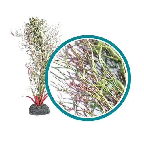 Weco, Weco Products Marine Pro Series Fine Branch Kelp Aquarium Plant, Green, 6 Inches
