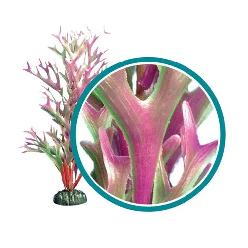 Weco, Weco Products Marine Pro Series Giant Kelp Aquarium Plant, Red, 24 Inches, Giant