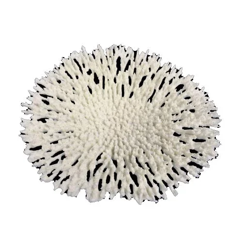 Weco, Weco Products South Pacific Coral Round Tabletop Ornament, White, 1 Each/Large