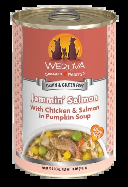 Weruva Classic Dog Jammin’ Salmon Chicken & Salmon in Pumpkin Soup Canned Dog Food
